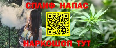 гашик Волжск