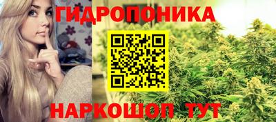 гашик Волжск