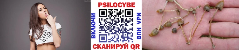 Галлюциногенные грибы Psilocybine cubensis купить наркотики сайты нарко площадка телеграм Лянтор