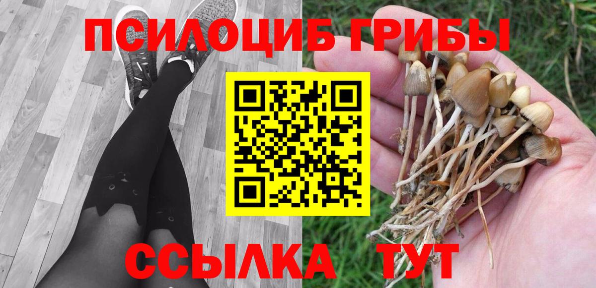 Галлюциногенные грибы прущие грибы Лянтор